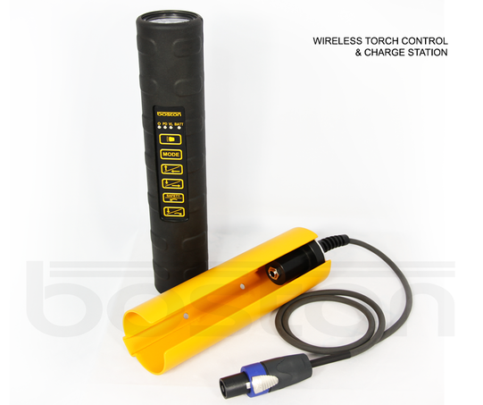 4 Direction Pit Mounted Hydraulic Play Detector