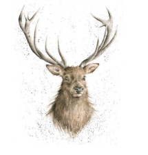 Portrait of a Stag Ltd Mounted Print by Wrendale Designs