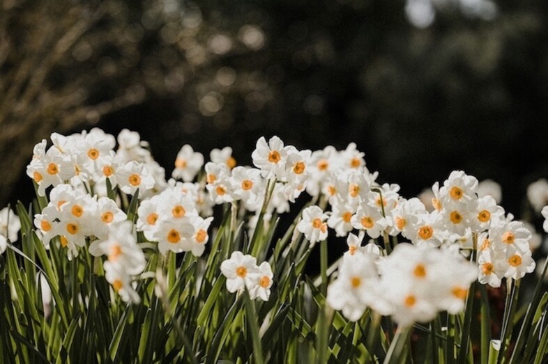 Easter Opening Times