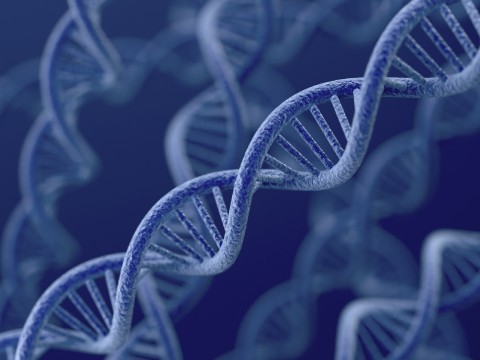 DNA - iStock_000038955872_Large