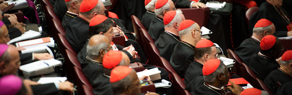 The Synod and Marriage:  The Deeper Issues