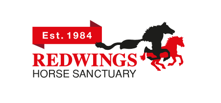 Redwings Winners Oct 2024