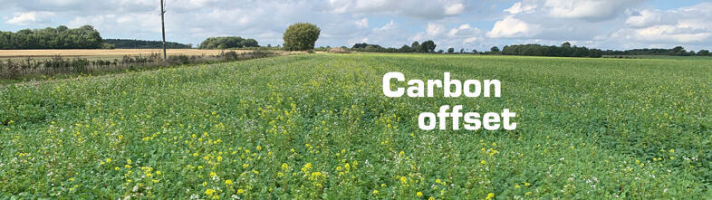 Carbon Offset with Goff