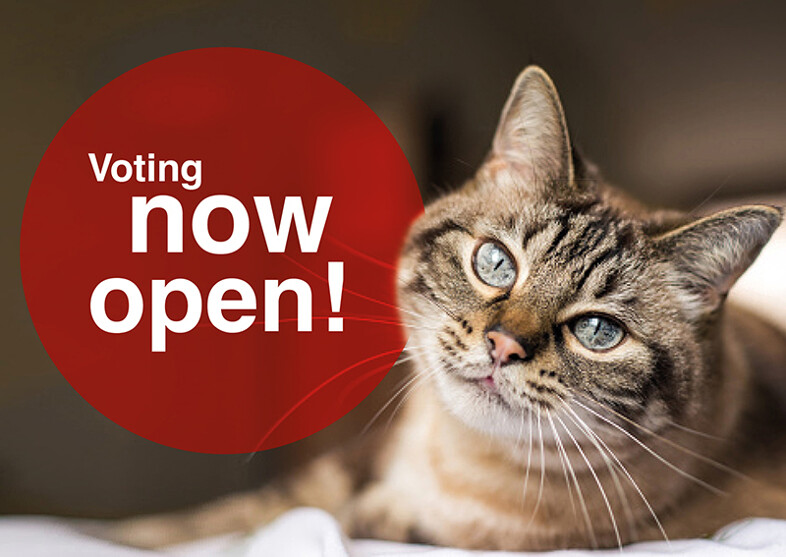 Vote Now for your local Animal Charity in Goff Good Causes
