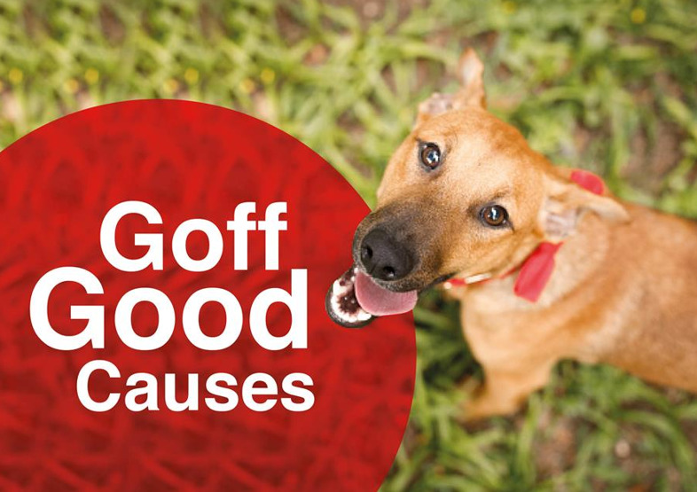 Nominate your local animal charity for Goff Good Causes