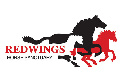 Redwings Horse Sanctuary