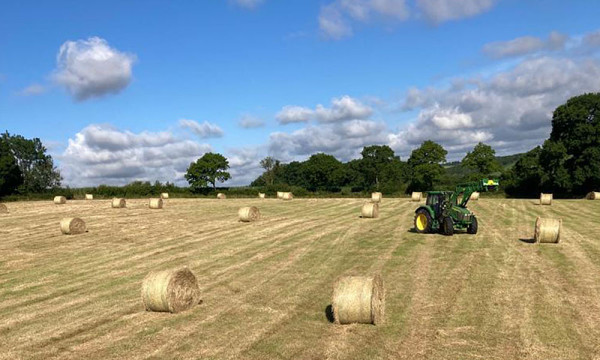 2022-07-18 hay making 2