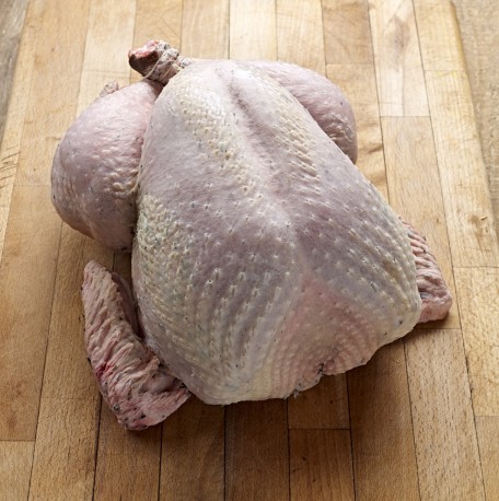 Free Range Turkey - Large - Devon Organic Turkey Meat Online