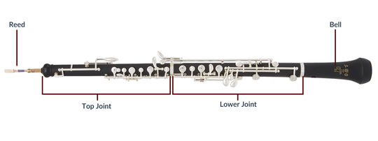 A guide to buying your first oboe