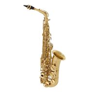 Elkhart 100AS Eb Alto Saxophone (EX DEMO A)