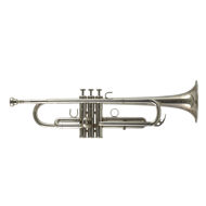 Secondhand Yamaha Bobby Shew Bb Trumpet Silverlate