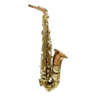 Conn-Selmer Premiere PAS380 Eb Alto Saxophone