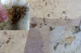 rust-stains-in-limestone-after-spalling