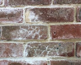 Brick-efflorescence