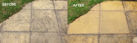 before-after_ltp-black-spot-algae-remover-1