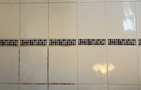 IMG_1260 copy_blog
