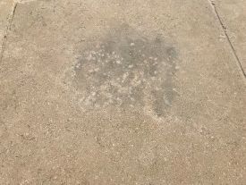 Bird Poo stain on stone 3