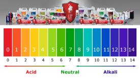 ltp-ph-scale-image