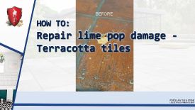 76. LTP - How to repair lime pop damage - Terracotta tiles - 2025