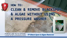 36. Clean & Remove Blackspot & Algae - No Pressure Washer Thumbnail