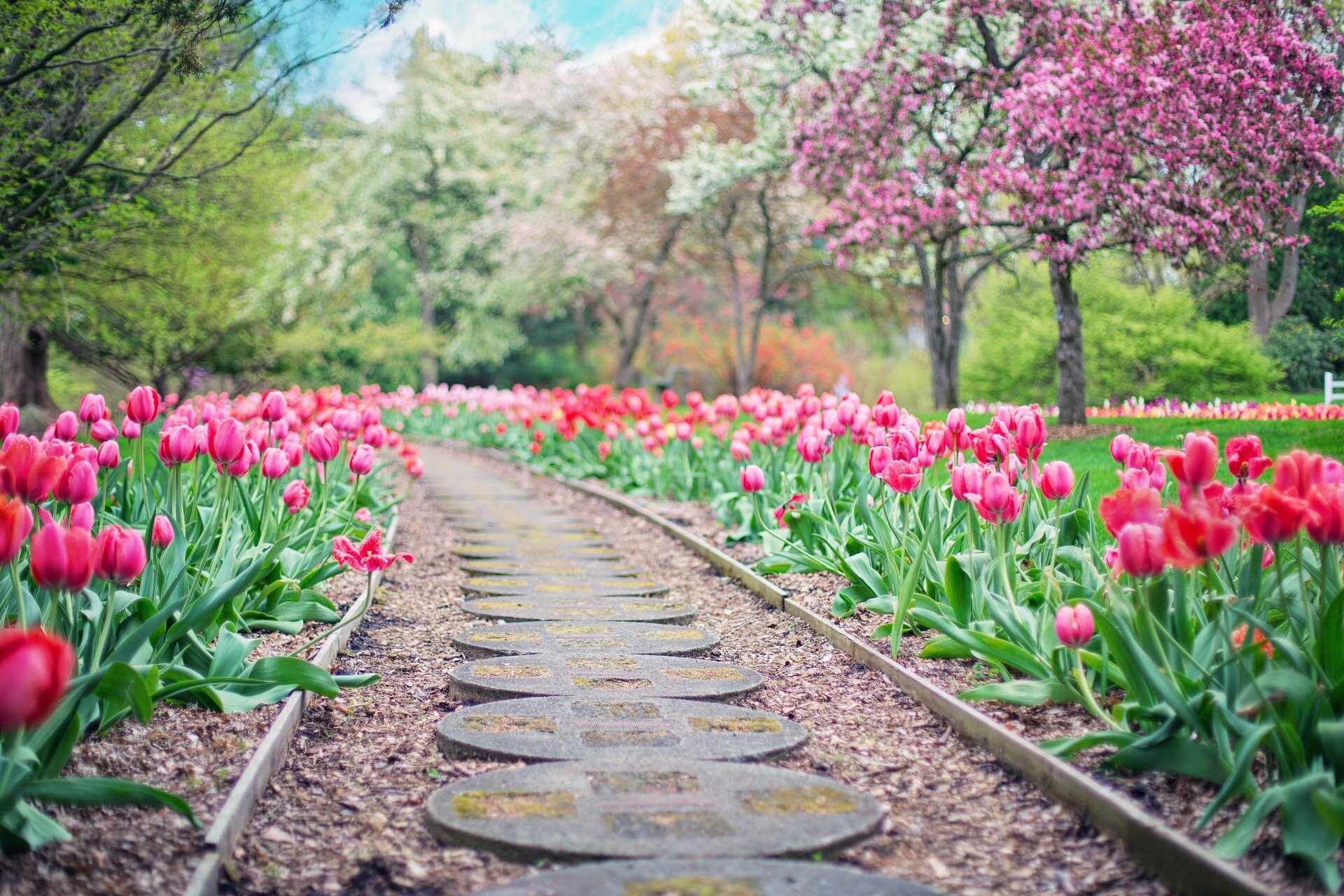 Getting your paths & patio ready for spring