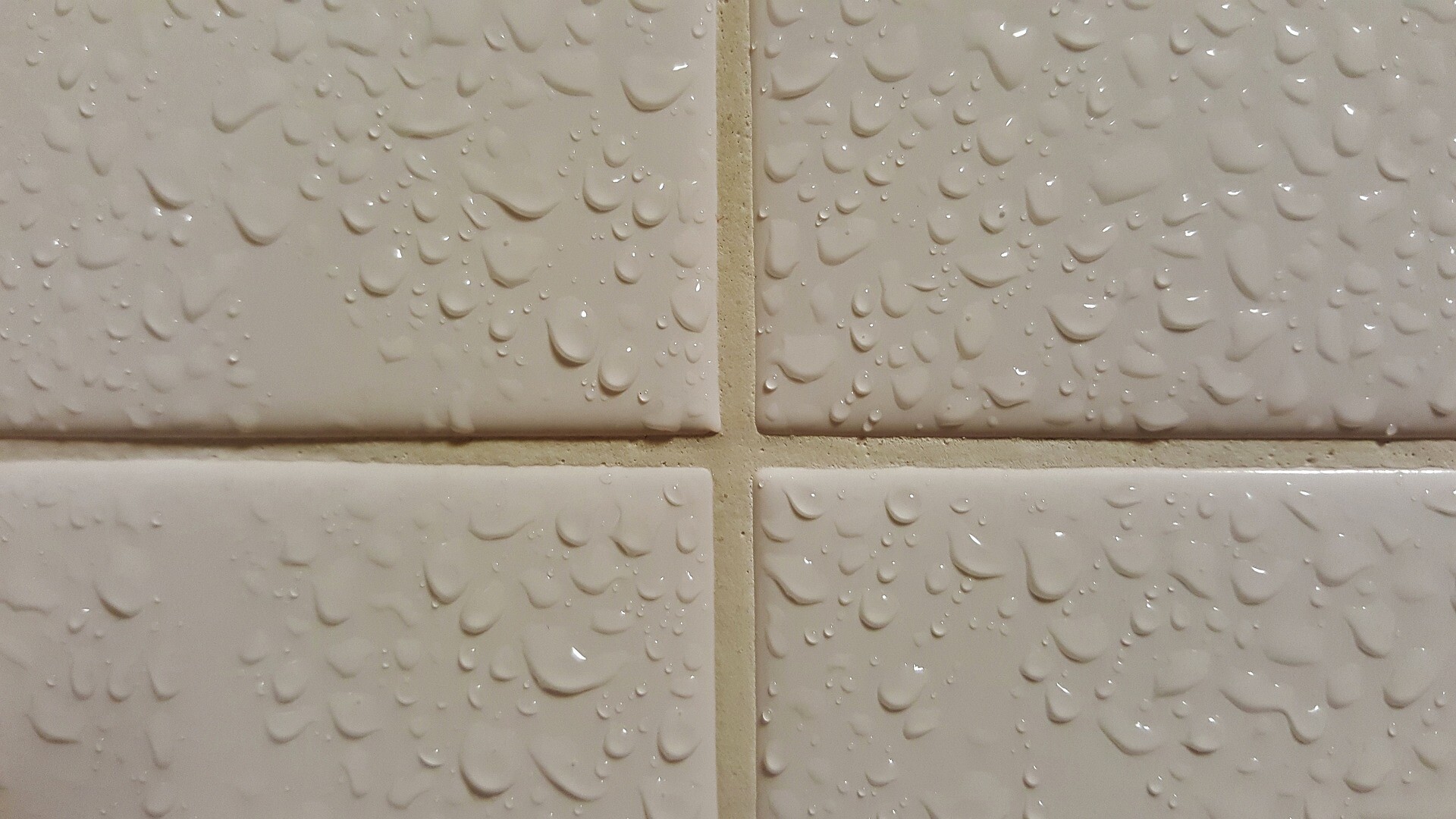 Getting to grips with grout Tile Cleaning, Sealing and Maintenance