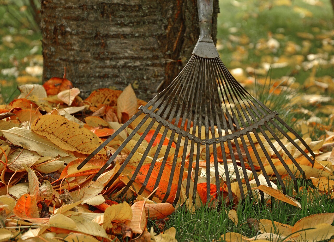 Patio maintenance - staying one step ahead