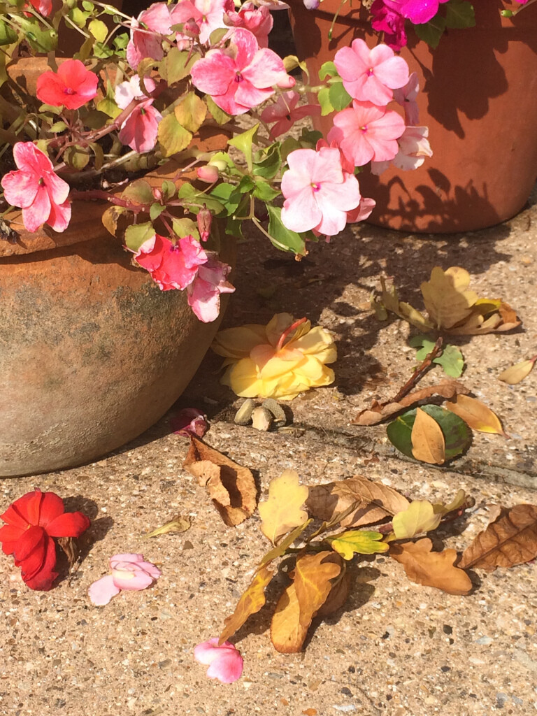 Getting your patio winter-ready