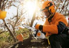 STIHL MS150TC-E 1.3HP 12" ARBORIST CHAINSAW