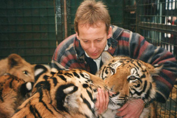 tigers