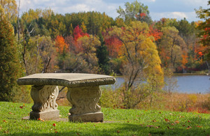 Designing Your Garden