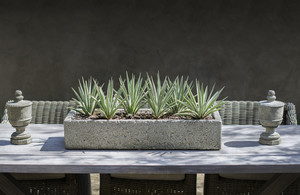 The Benefits of Garden Troughs