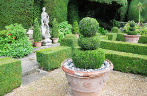 5 Ways to Update the Look of Your Garden