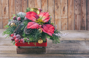 Time for Winter Flora