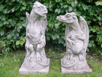 Dragon Companions
