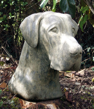 Great Dane Head