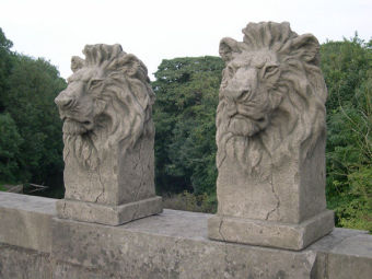 Pair of Gondwana Lions