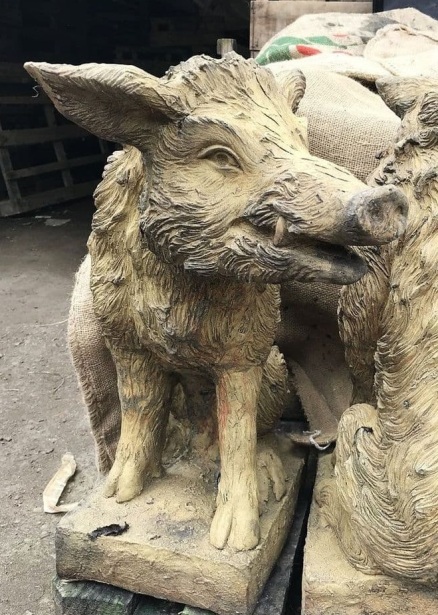 Wild Boar