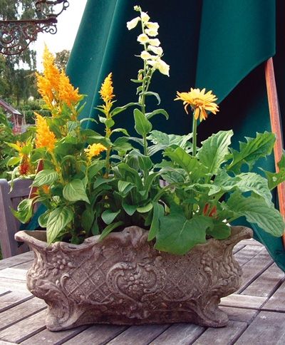 Vienna Vase 26