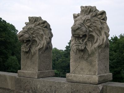 Pair of Etosha Lions