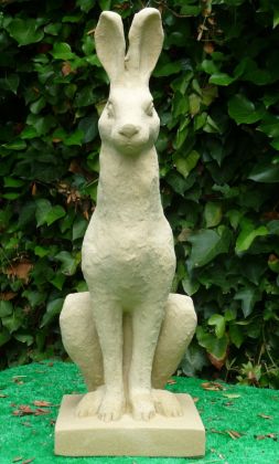 Hare
