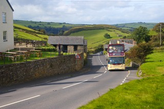 300bus
