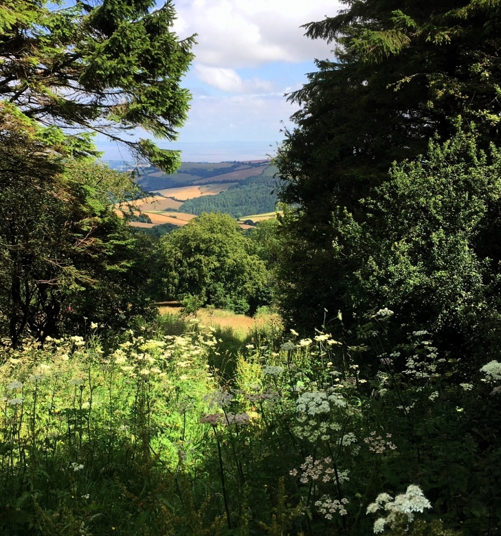 The Old West Somerset Mineral Line Walk