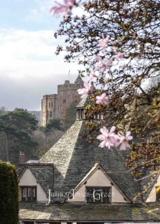 P1450630 Dunster blossom (2)