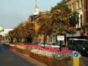 minehead street flowers