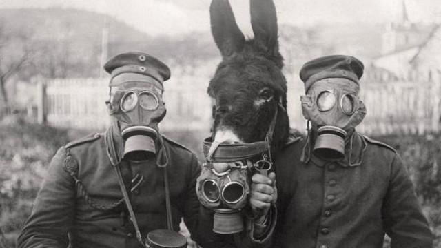 Mules p35 gas mask