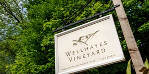 LOCAL VINEYARD TO LAUNCH NEW VINTAGE