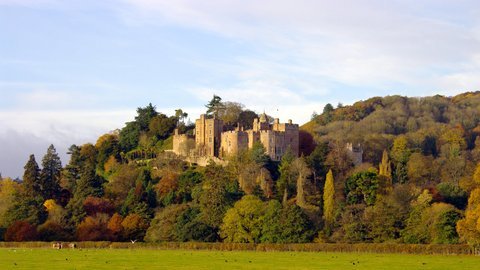 Dunster Show