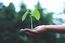 Sustainable