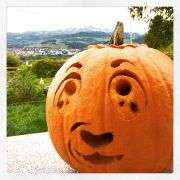 Cute Zuma the Dog Lantern for Halloween. Halloween lantern